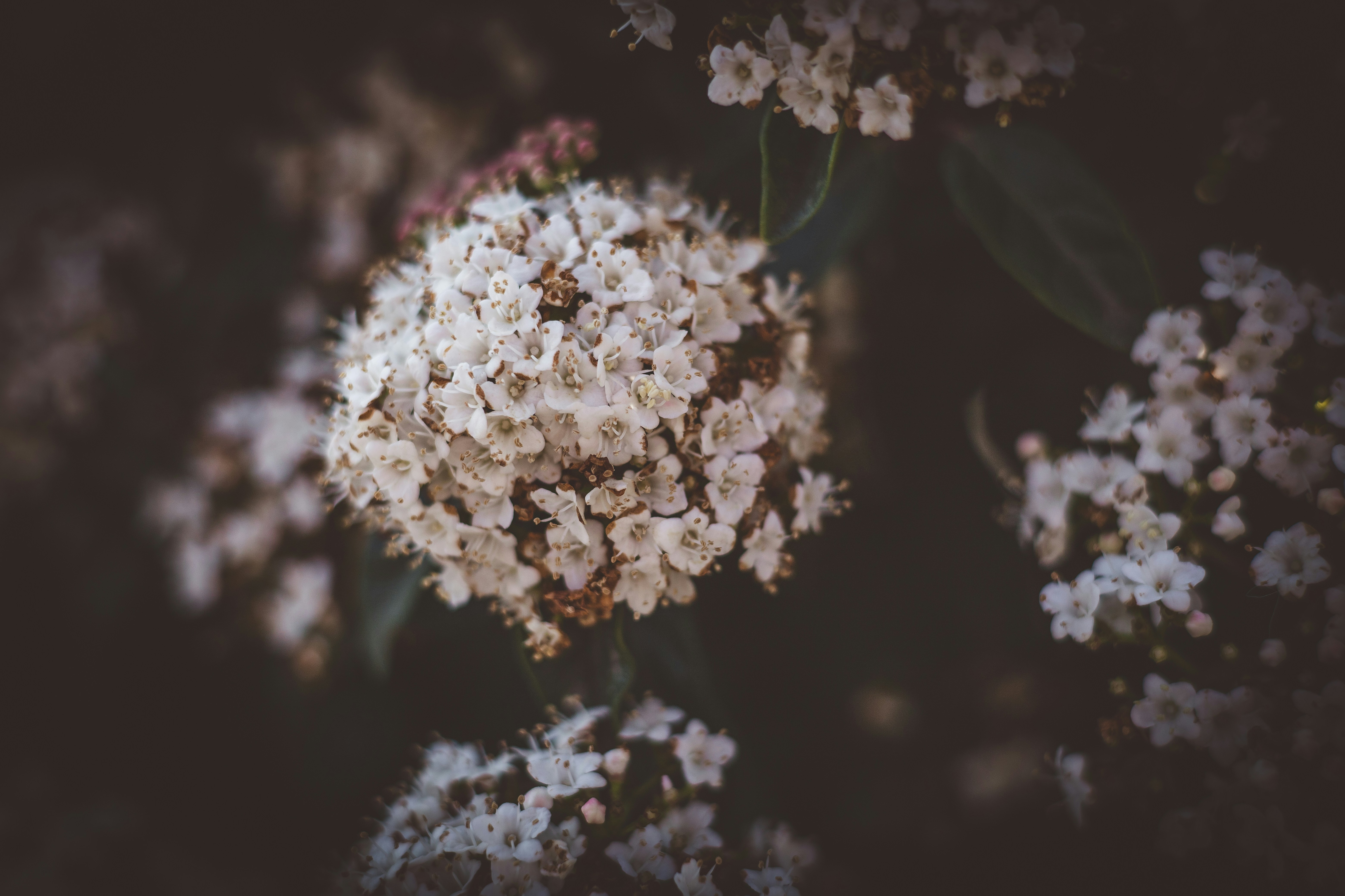 Photo by rrodriguesim