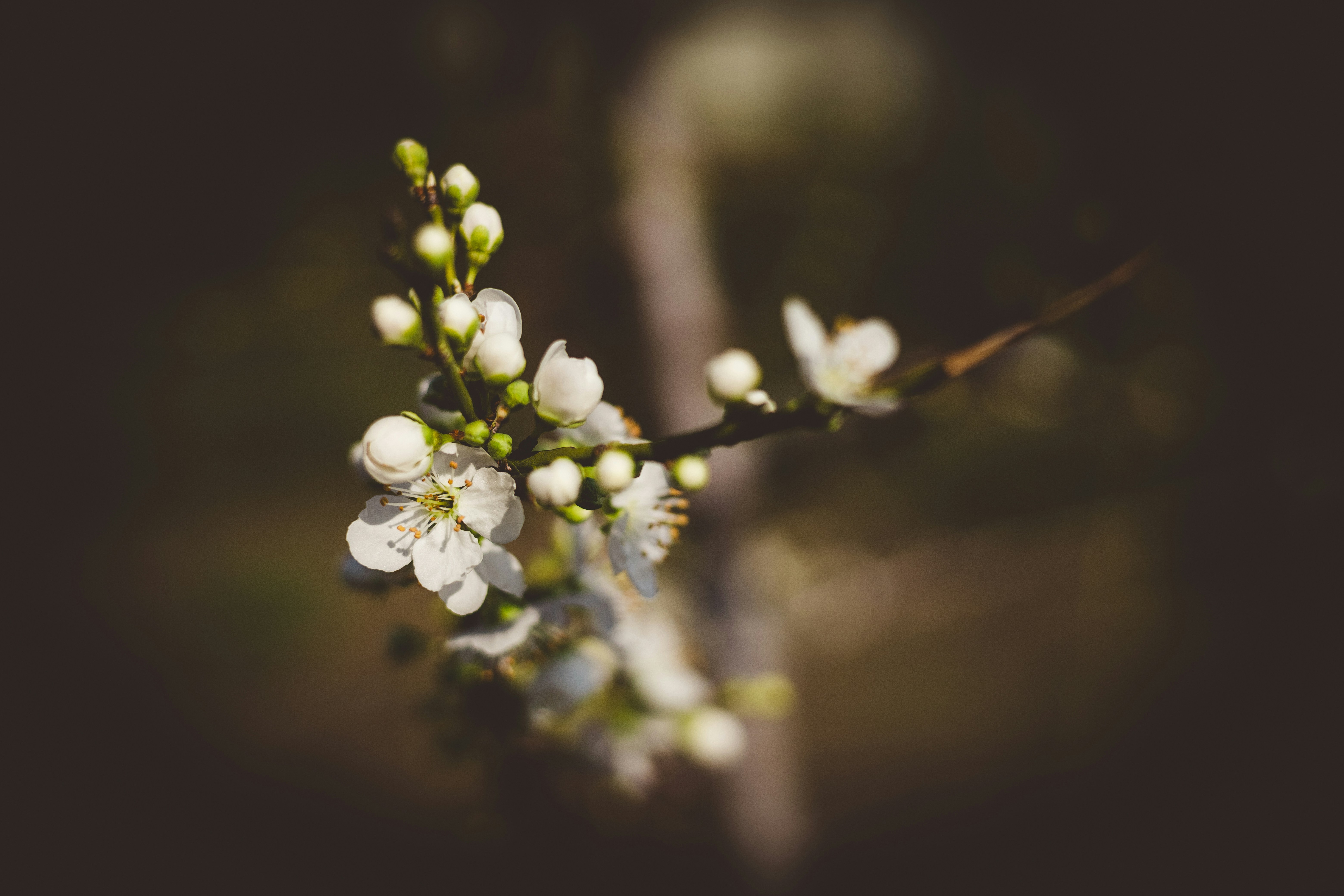 Photo by rrodriguesim