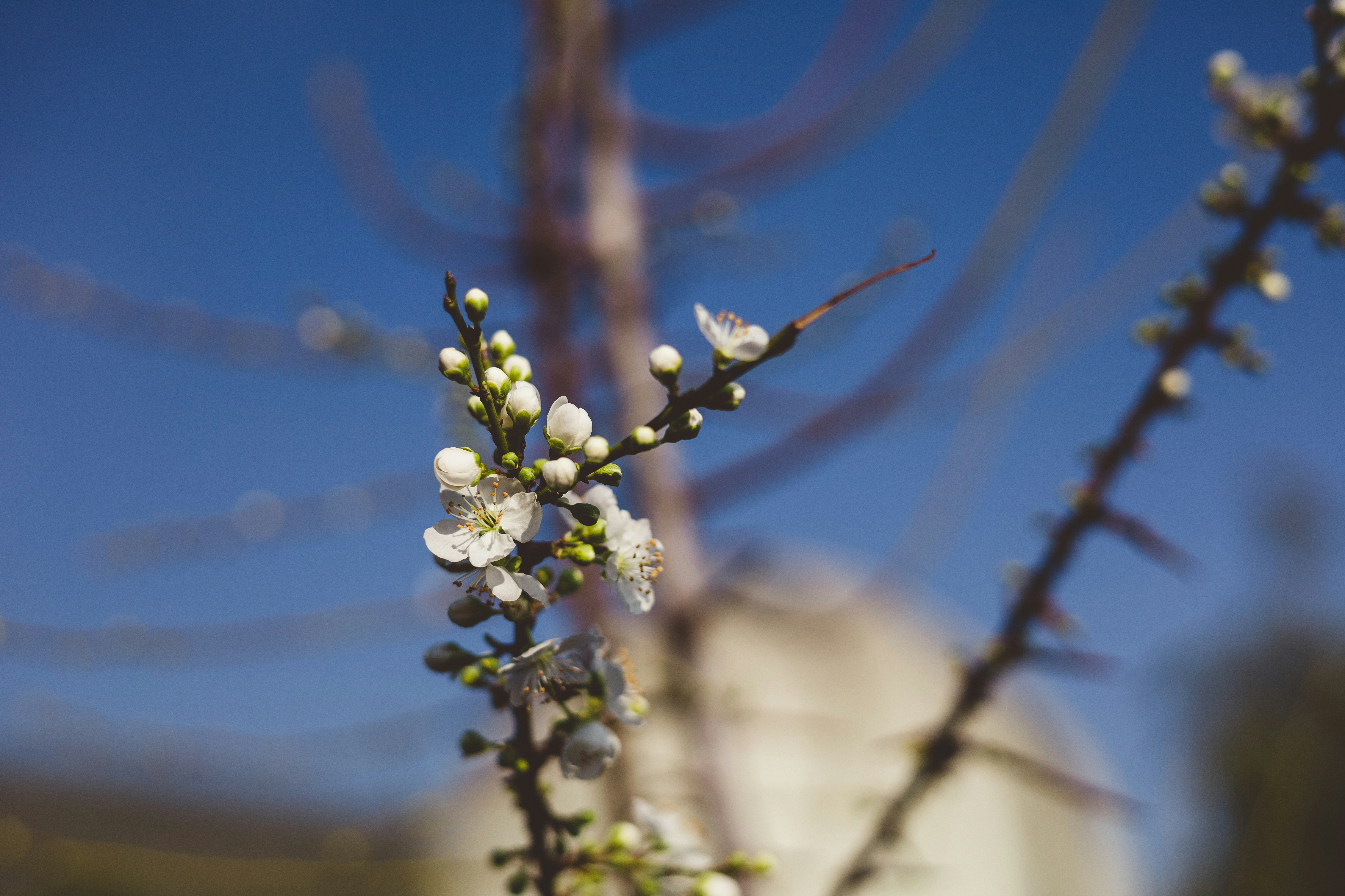 Photo by rrodriguesim