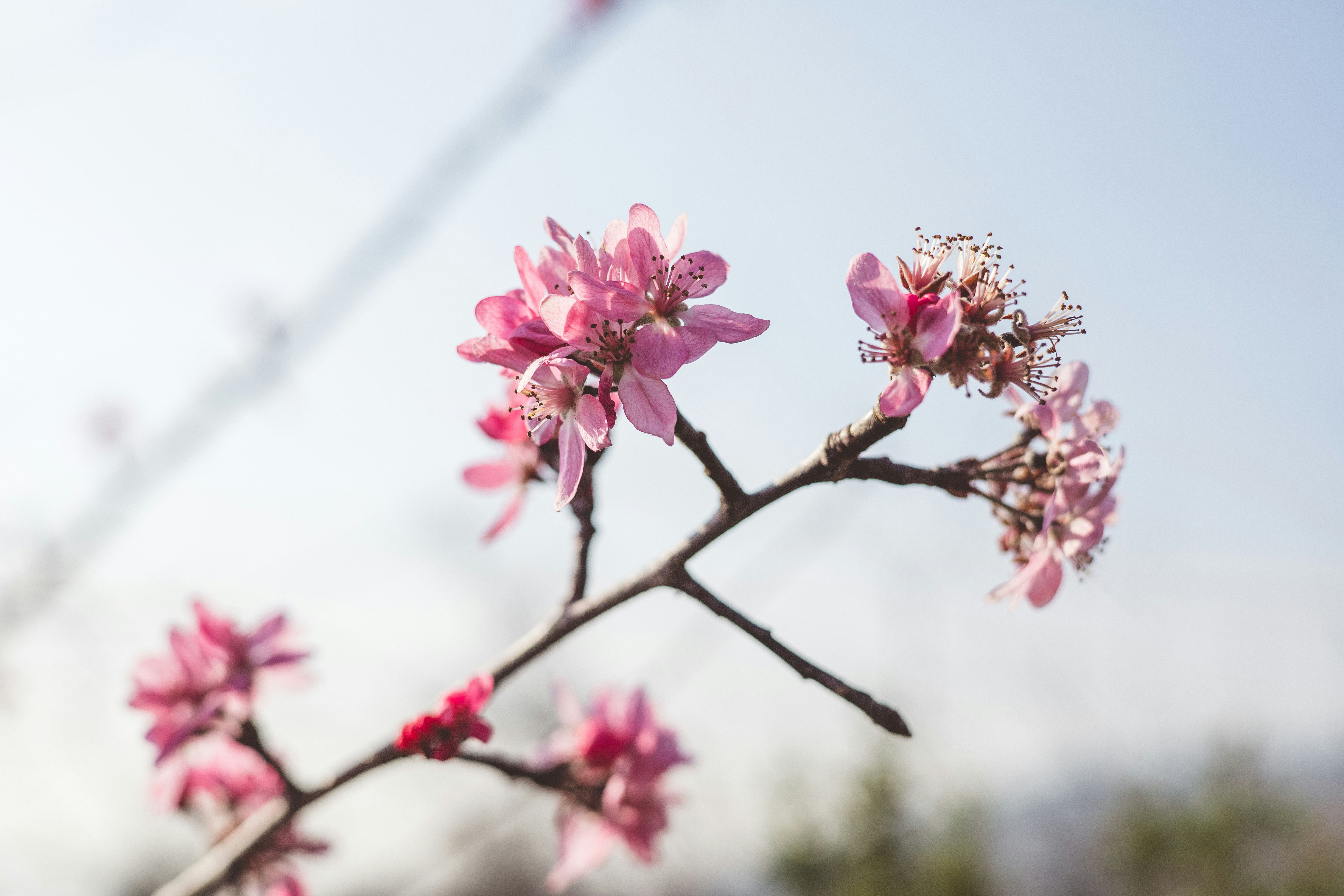 Photo by rrodriguesim