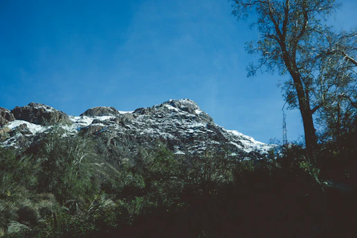 a snow covered mountain with trees in the foreground