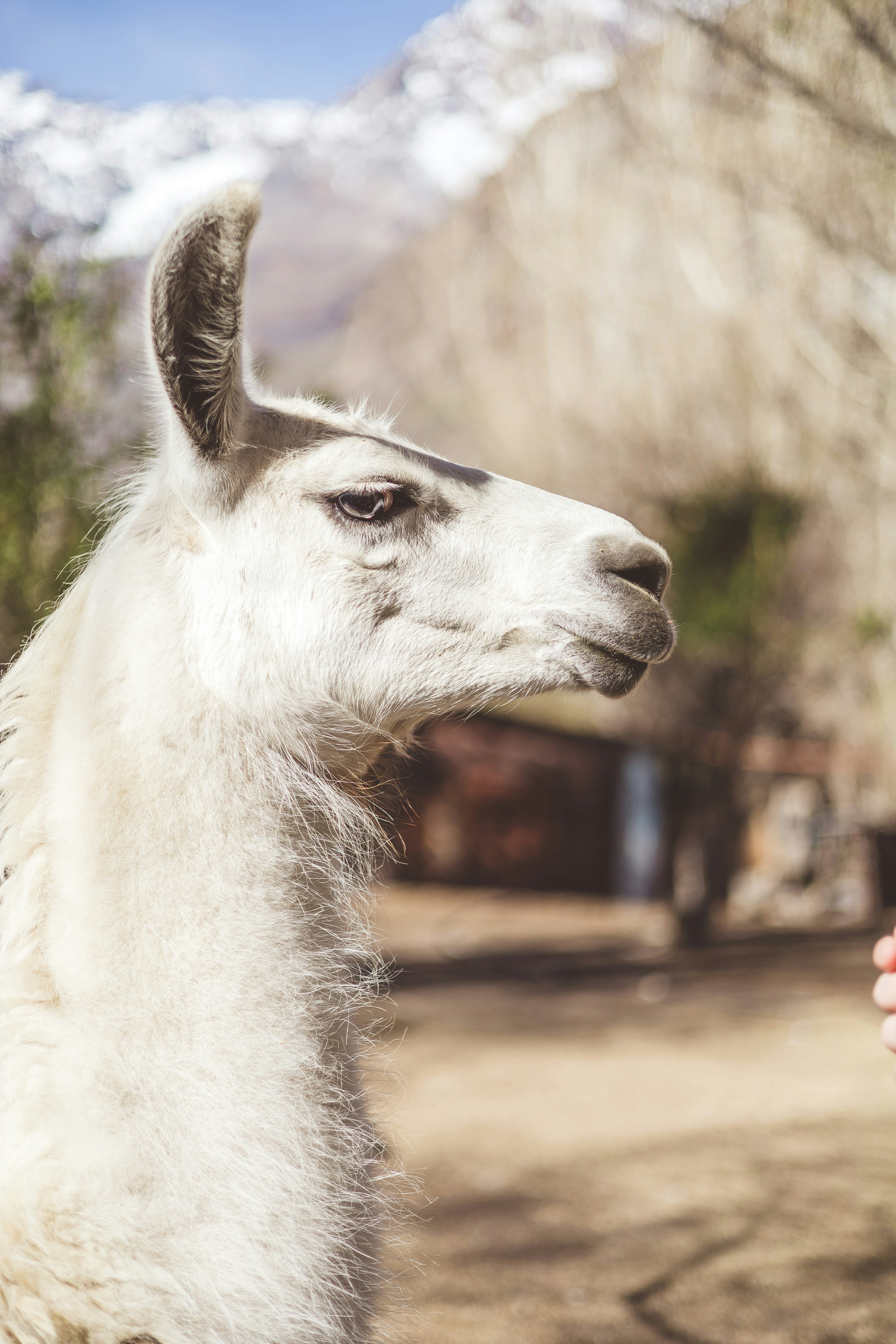 Photo by rrodriguesim