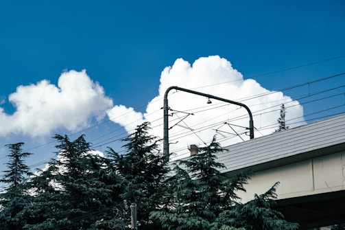 A bright blue sky serves as a backdrop for fluffy white clouds, with tall, green pine trees in the foreground. Overhead power lines and a railway signal post are set against the sky. The foreground also includes part of a modern bridge structure, highlighting an interaction between nature and infrastructure.