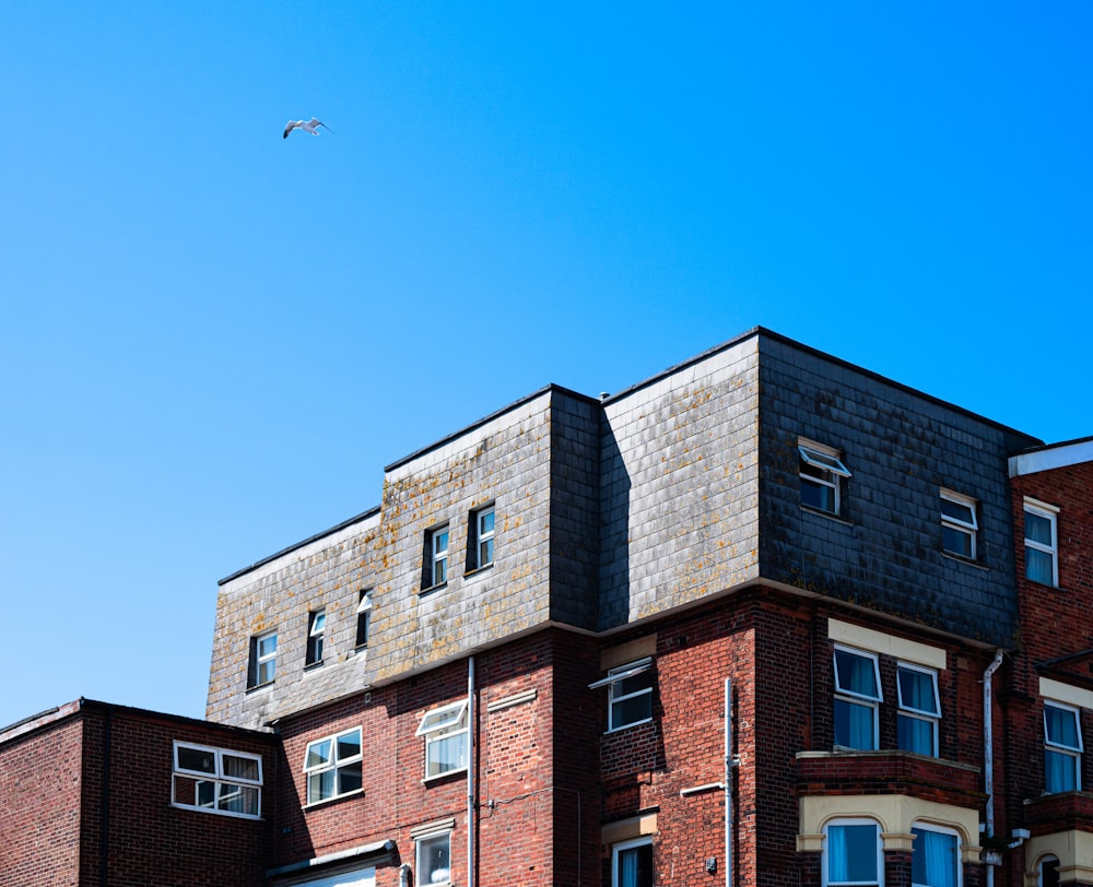 a bird flying over a brick building on a sunny day