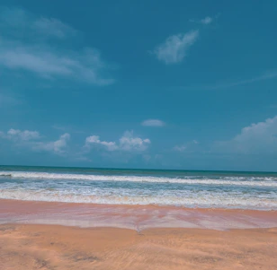 Sunlit yoga session on a serene beach with waves gently rolling in the background.