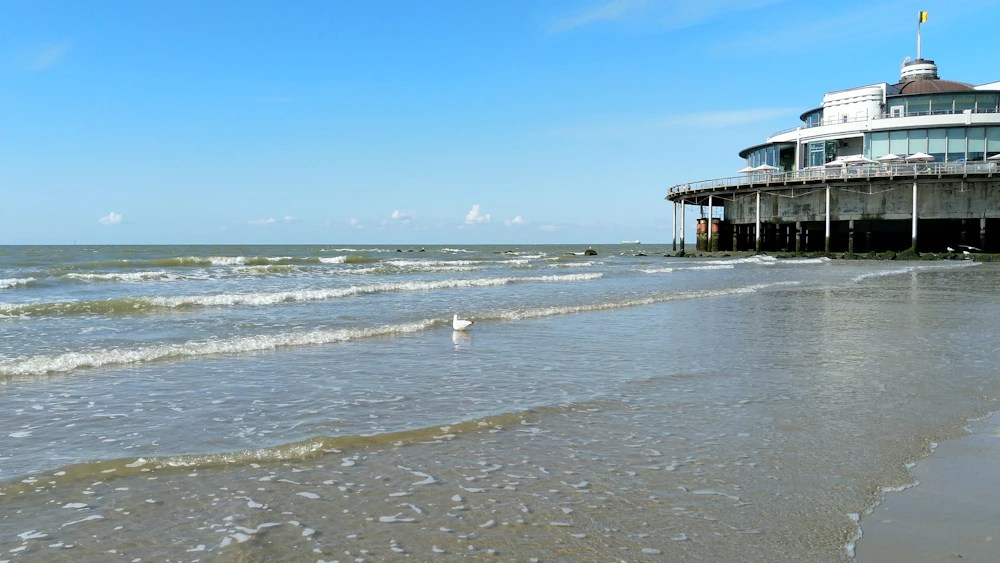 Seaside class on the Belgian North Sea coast