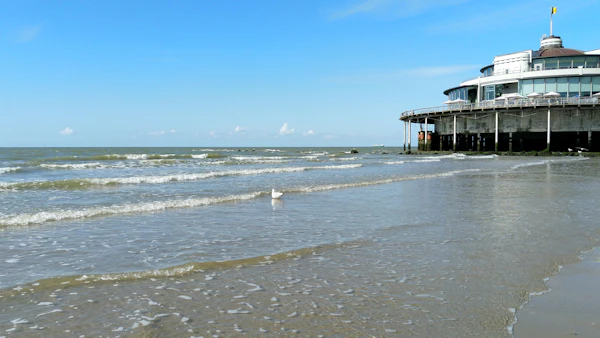 Coastal ecology fieldwork