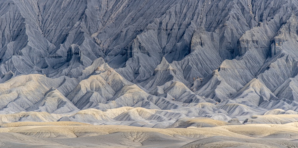 a group of animals standing on top of a sandy beach