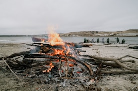 A large bonfire with burning logs on a sandy beach, surrounded by driftwood. In the background, a group of people wearing green jackets are engaged in an activity near the water, with a landscape of hills under an overcast sky.