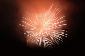 Bright, colorful fireworks explode against a dark night sky, creating intricate patterns with streaks of red and white radiating outward.