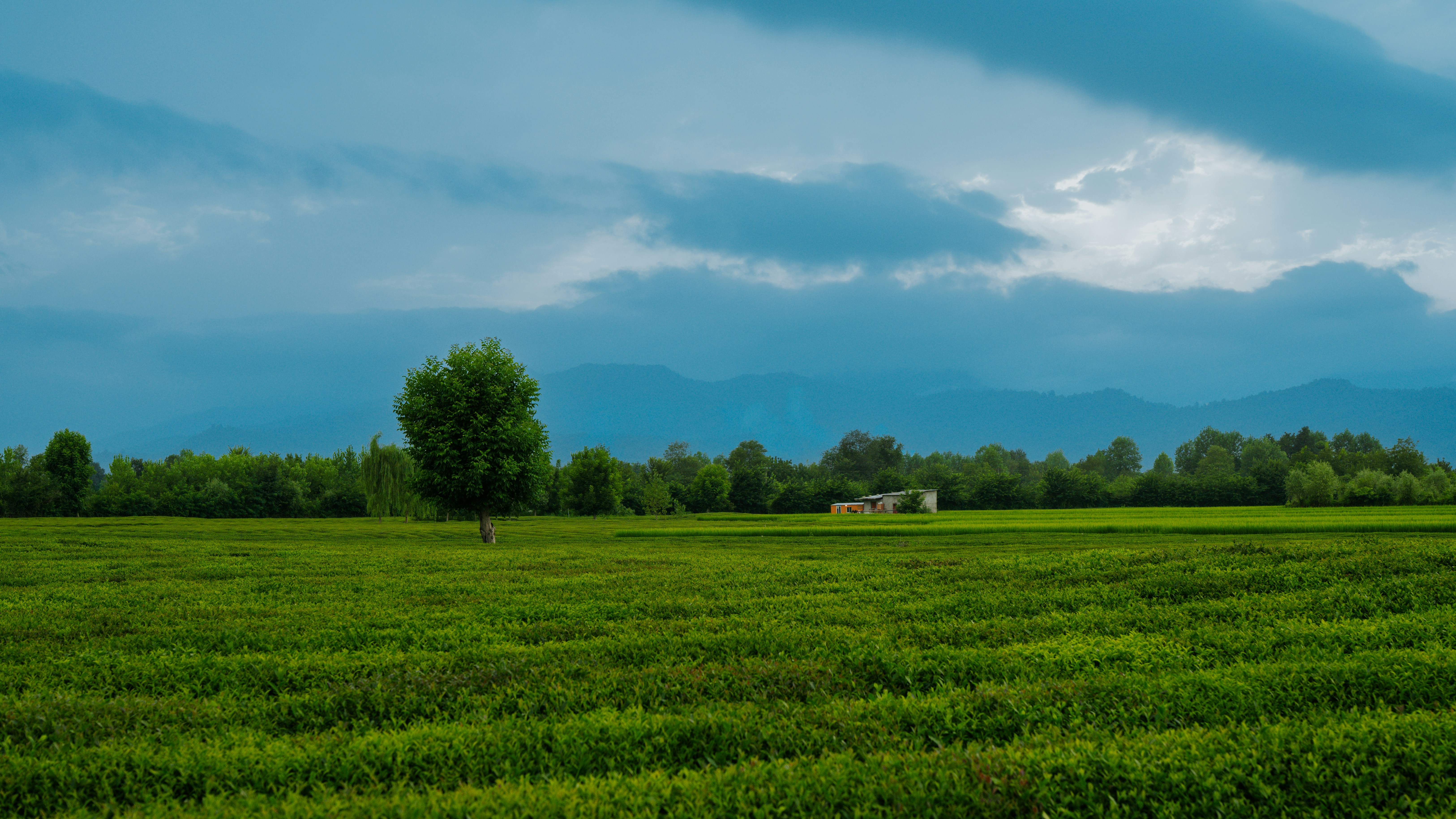 Photo by alihasanzadeh___