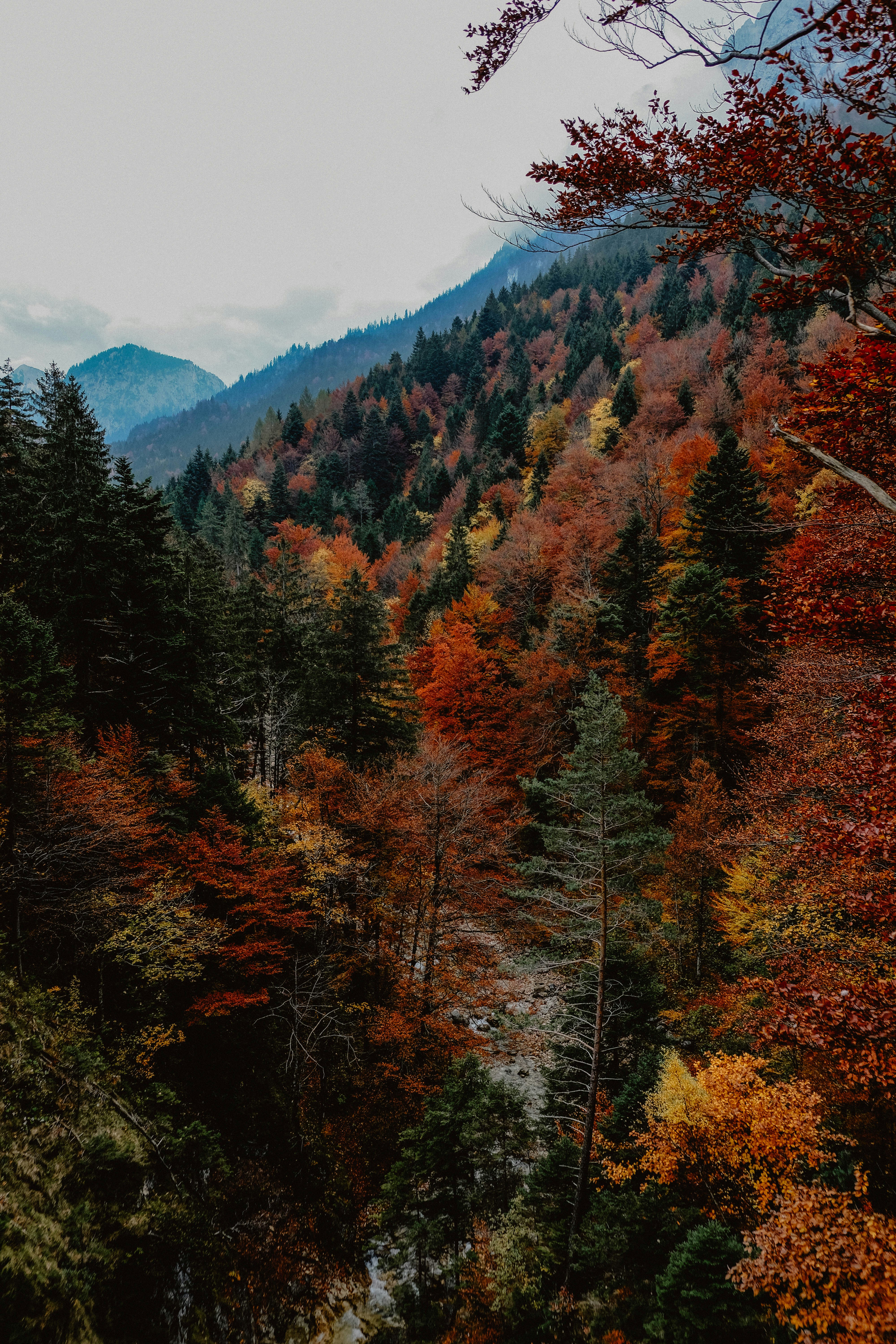 Photo by haranamorim