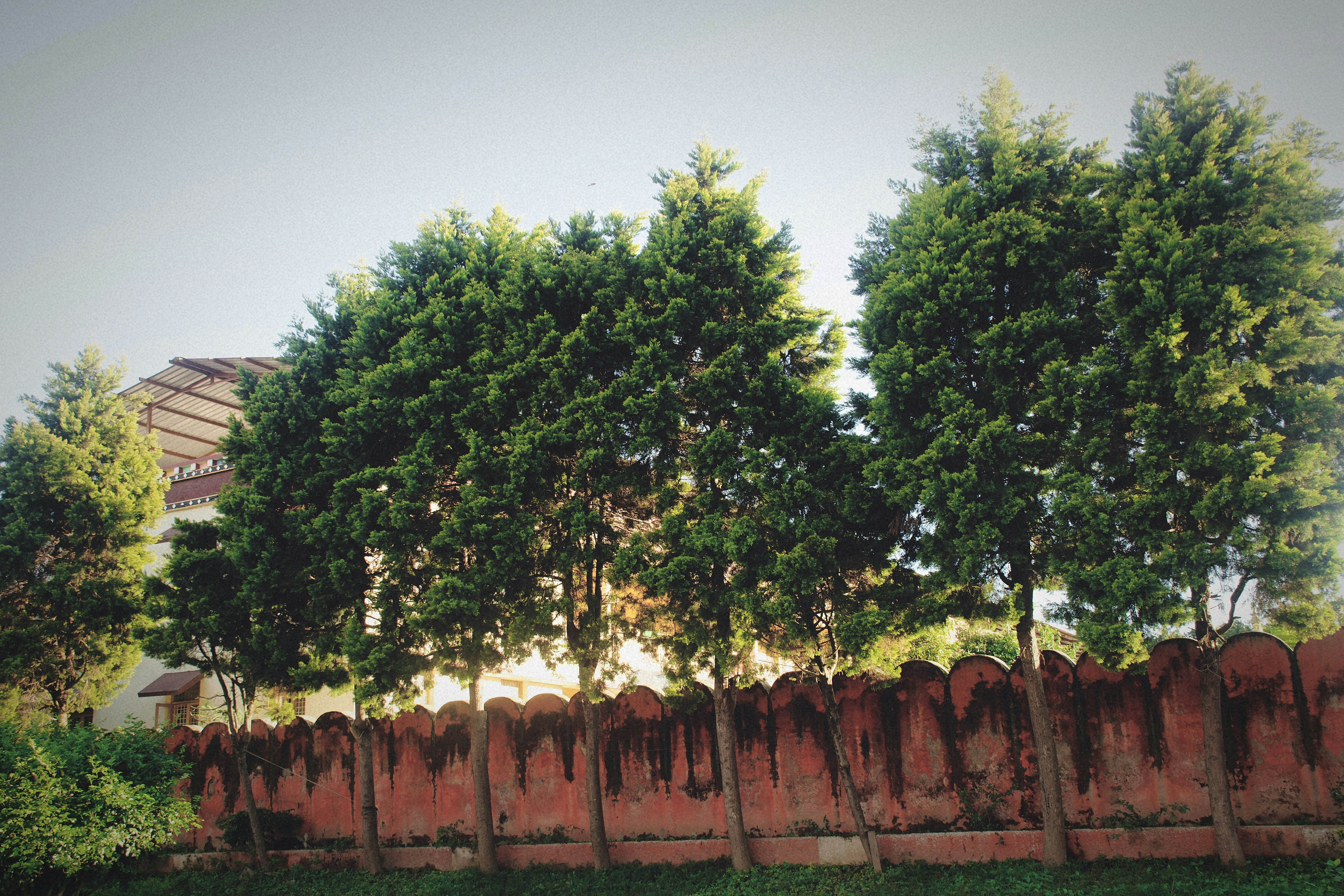 Photo by ahmed_bakhtawar