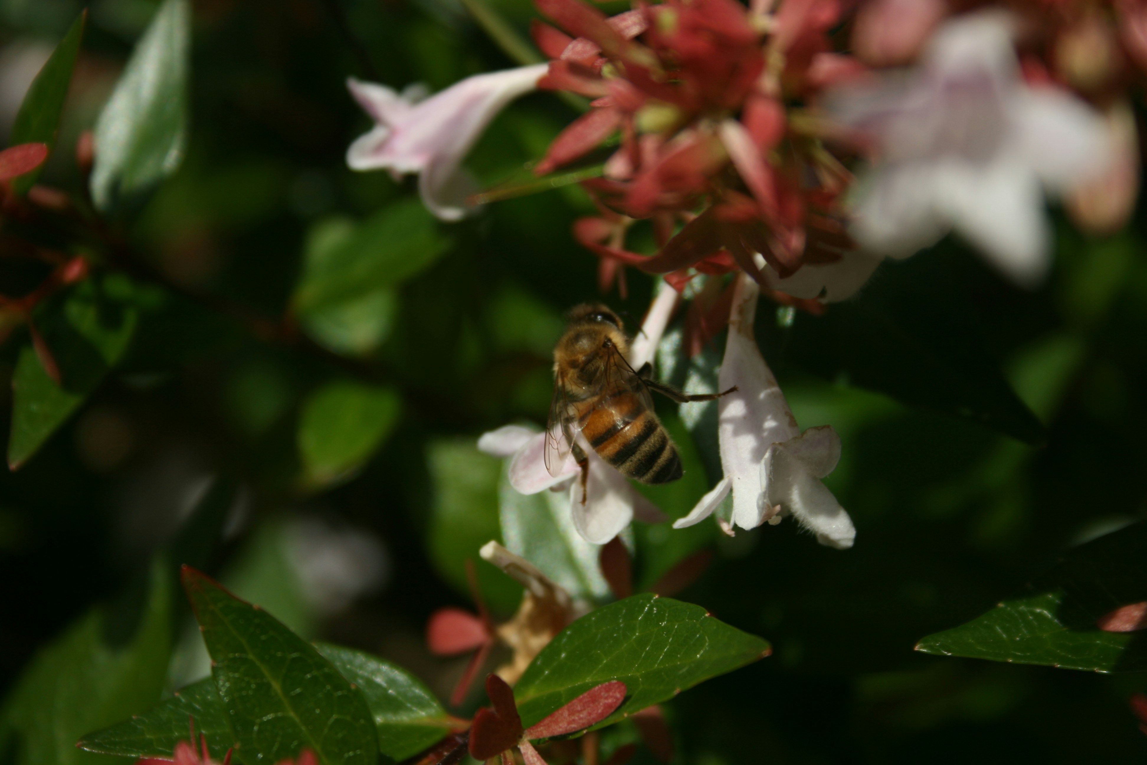 Photo by james_buxton