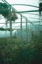 A sleek, futuristic greenhouse with glowing blue sensor arrays monitoring vibrant medicinal plants under soft LED lighting.
