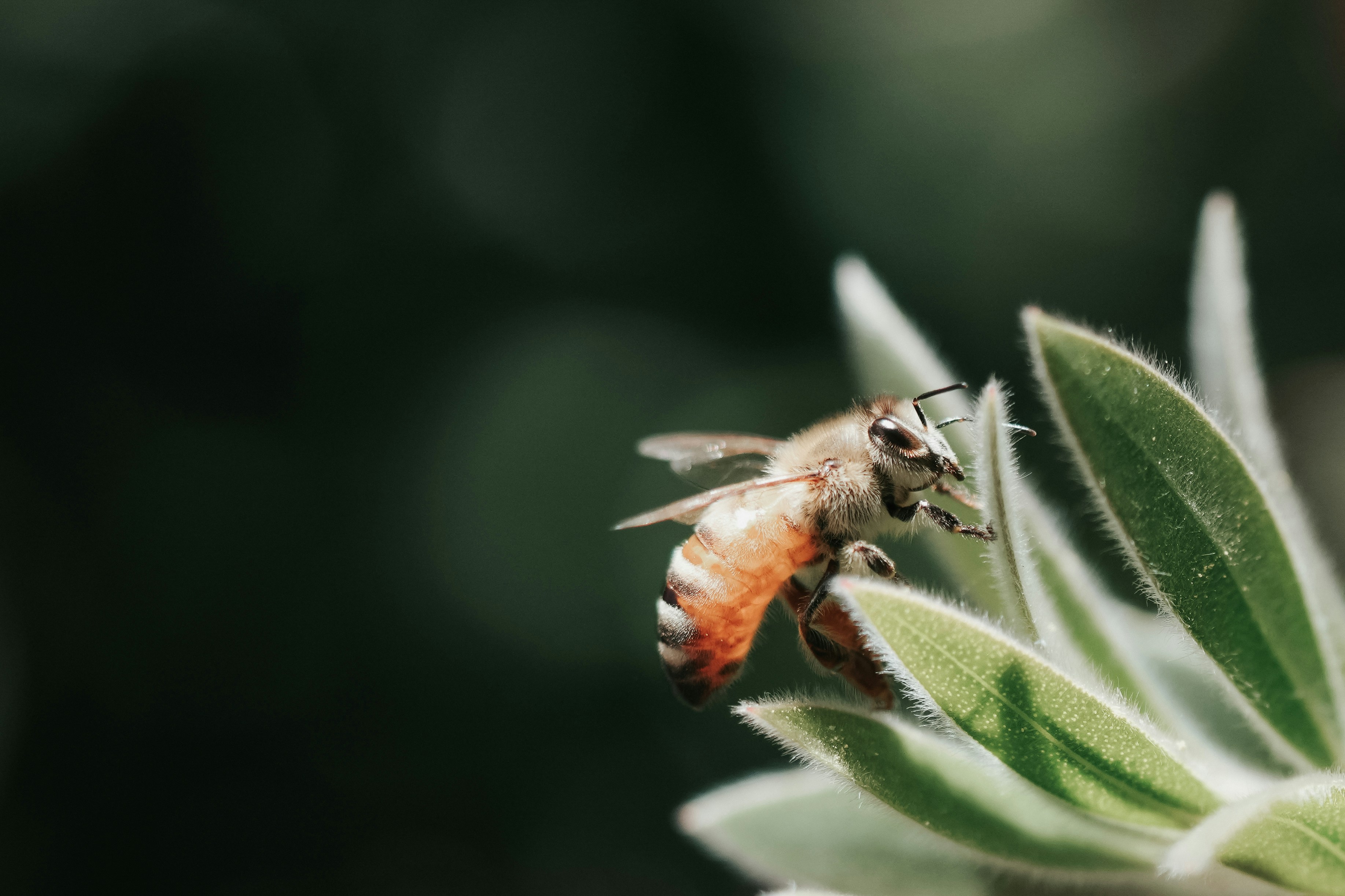 Photo by anyachernykh