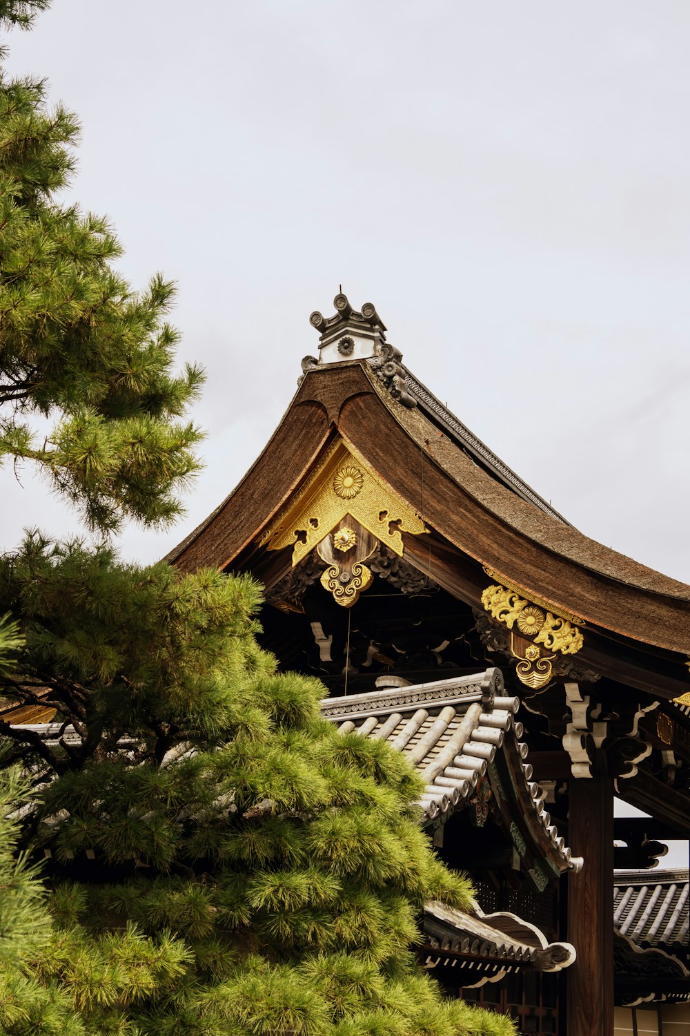 a building with a roof and a pine tree in front of it