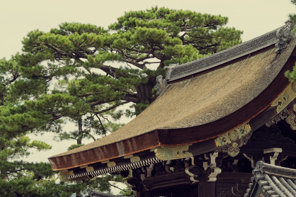 the roof of a building with a tree in the background