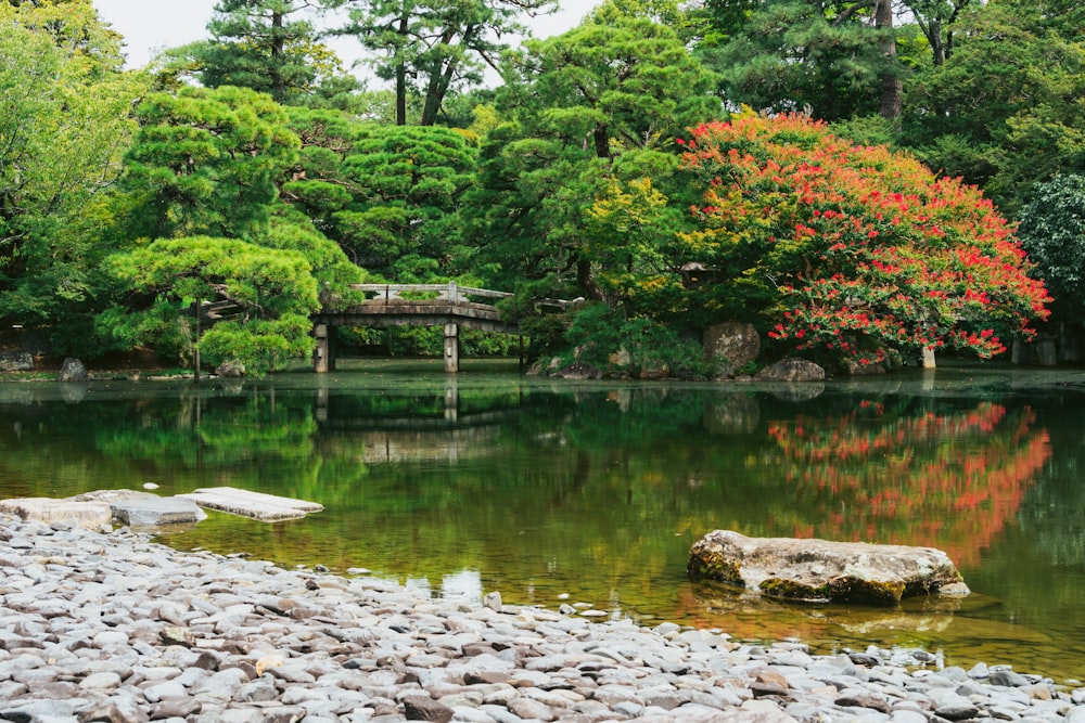 a pond surrounded by trees and rocks in a park