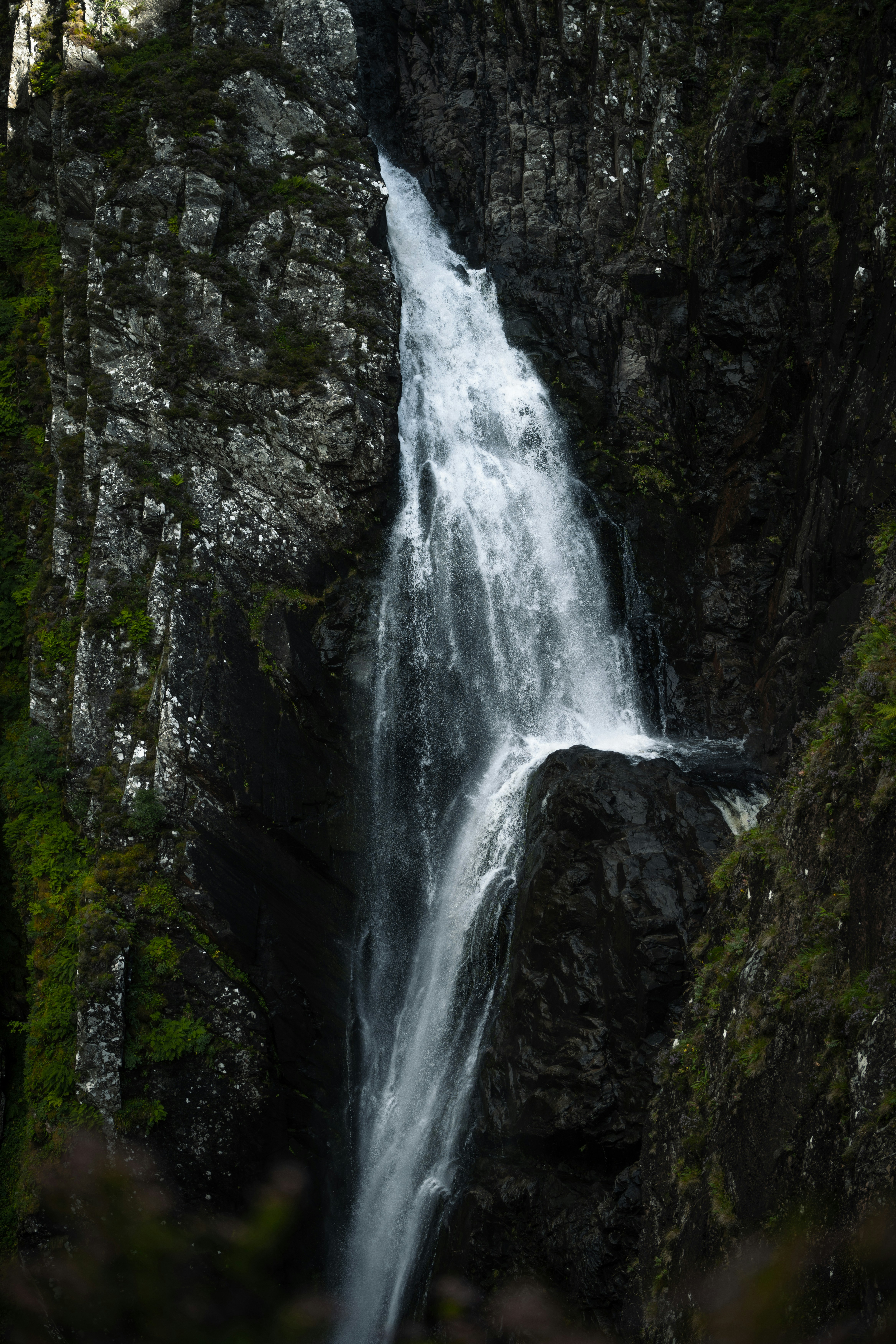 Photo by alexisnthere_