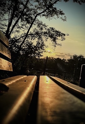 A serene park bench bathed in golden afternoon light, inviting reflection.