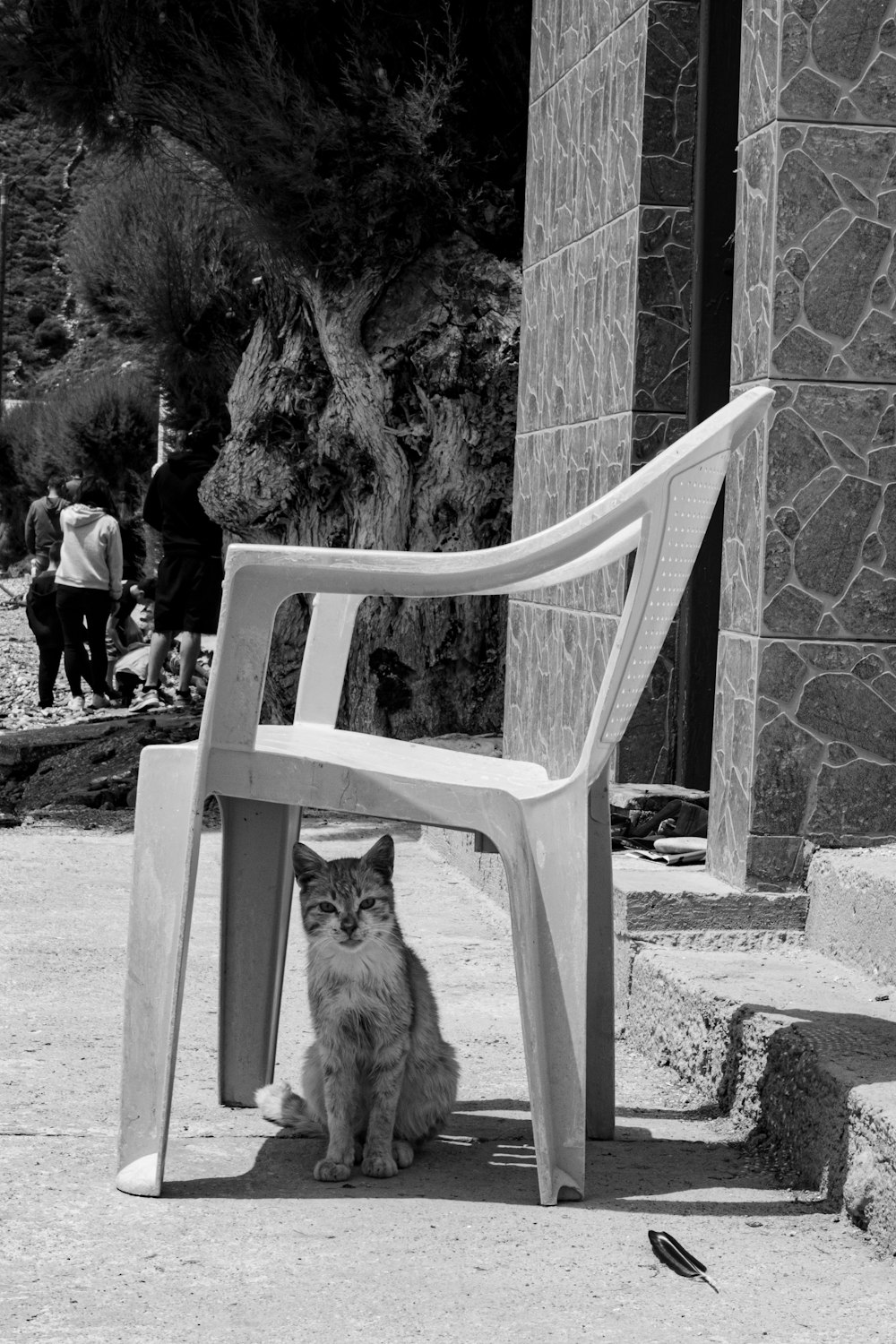 a cat sitting under a chair on a sidewalk