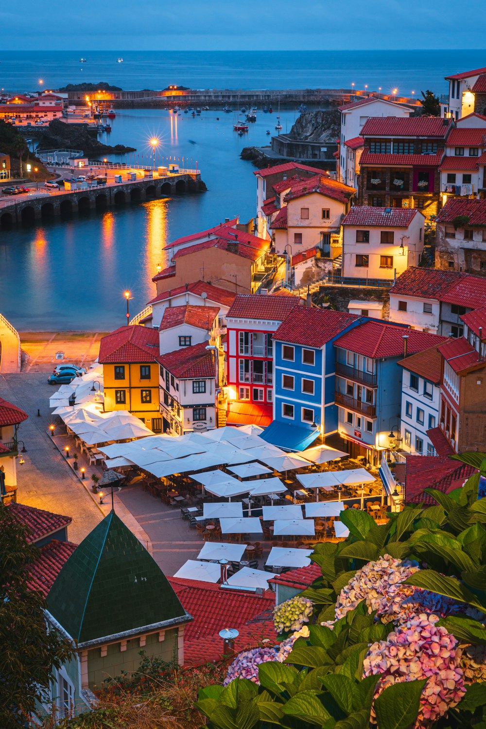 a view of a harbor with a lot of boats in the water