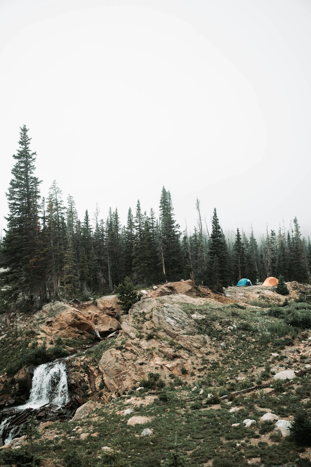 a couple of tents sitting on top of a lush green hillside