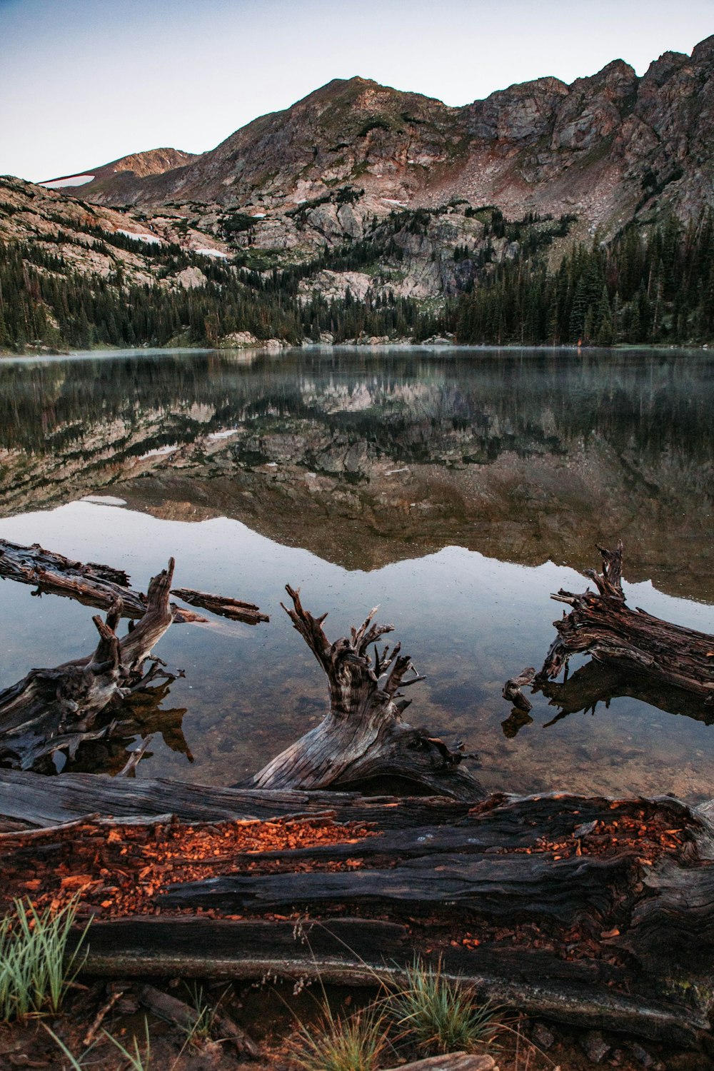 a view of a mountain lake with a fallen tree in the foreground