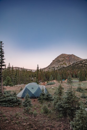 A rugged campsite setup featuring a sturdy tent pitched among pine trees at dawn.
