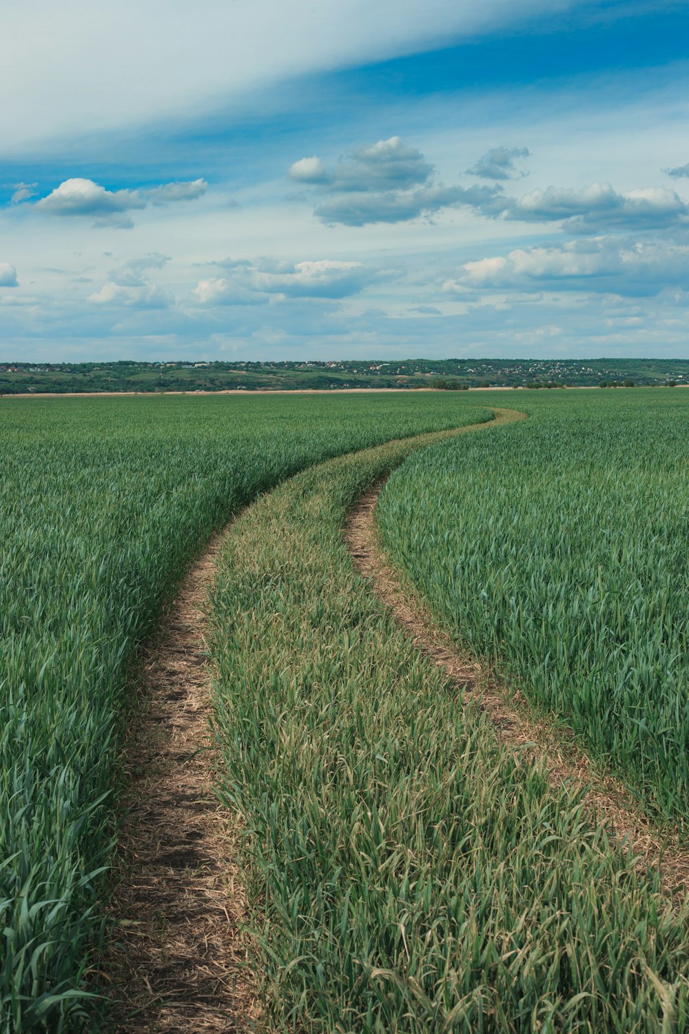 a dirt road going through a green field