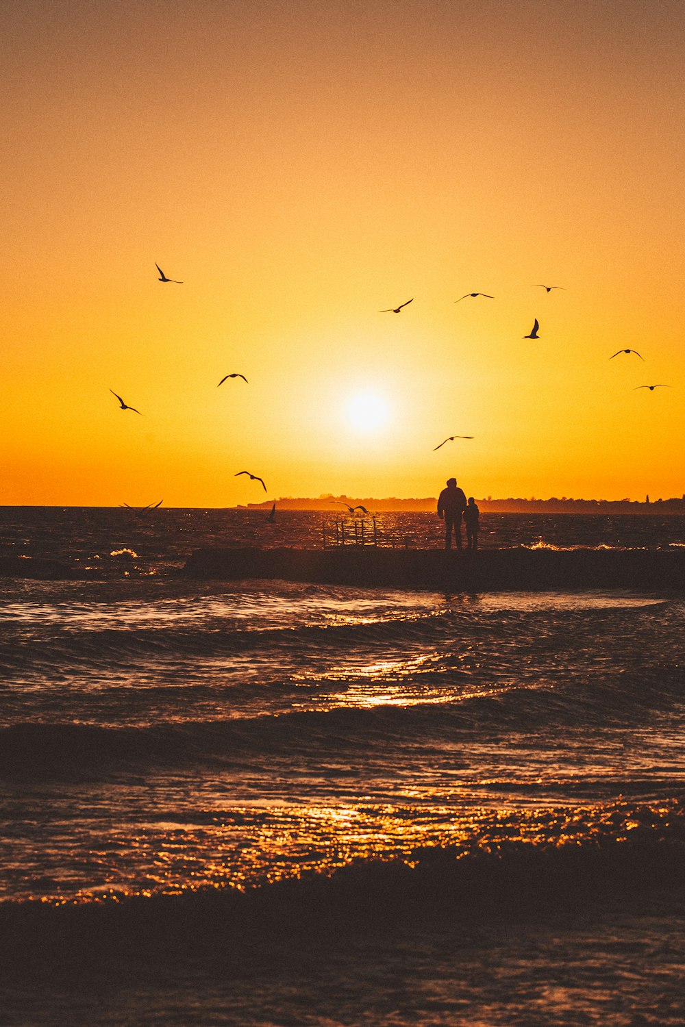 a group of birds flying over a body of water