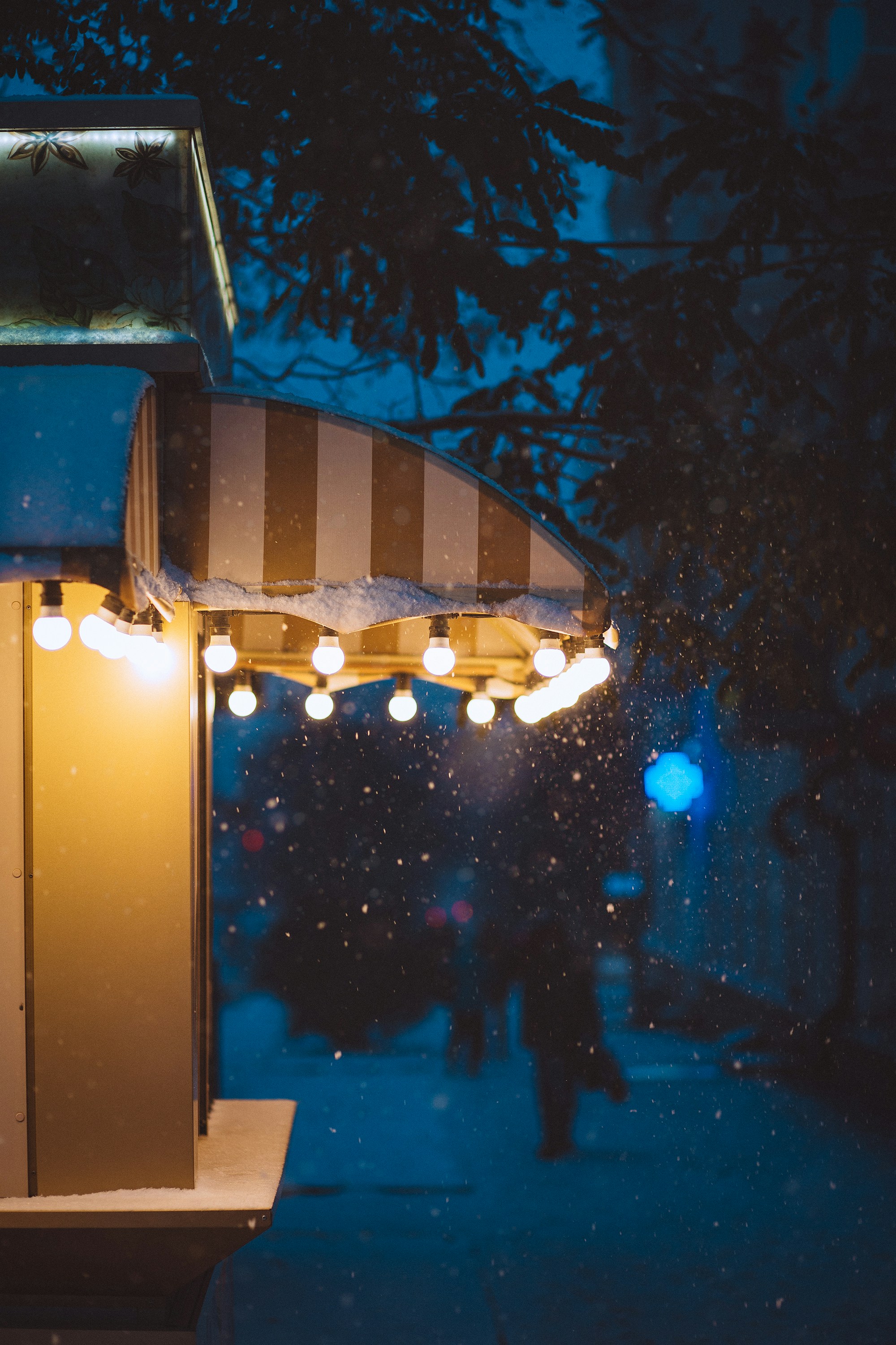 Photo by panfilov_jpg