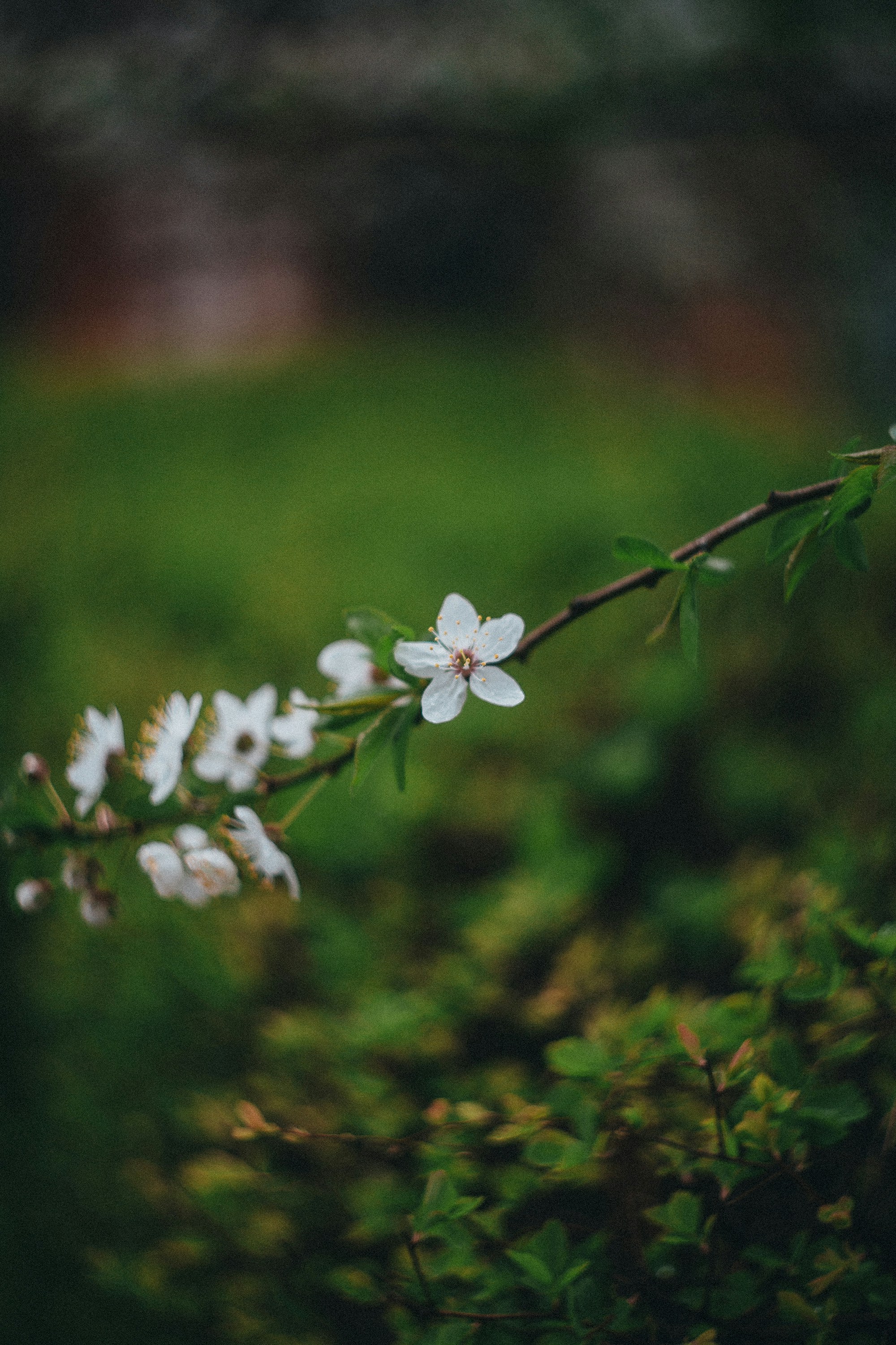 Photo by panfilov_jpg