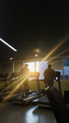 Row of cardio machines with people jogging and cycling, sunlight streaming through large windows.