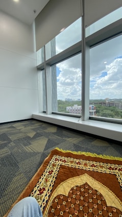 A clean and fresh carpet in a bright Manhattan apartment.