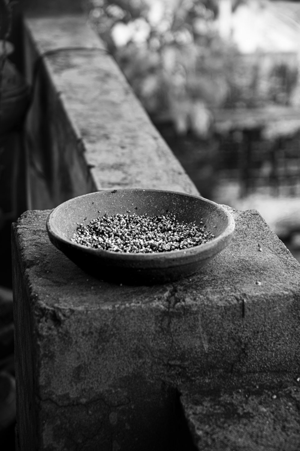 a bowl sitting on top of a cement wall