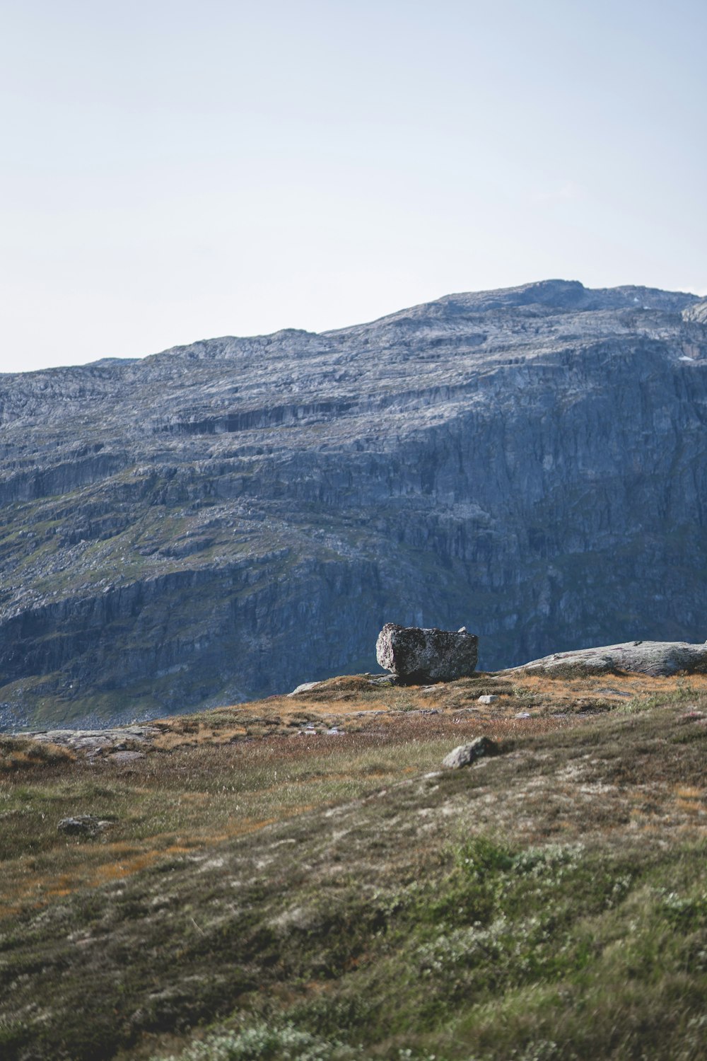 a sheep standing on top of a grass covered hillside