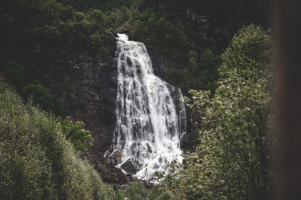 a large waterfall surrounded by lush green trees