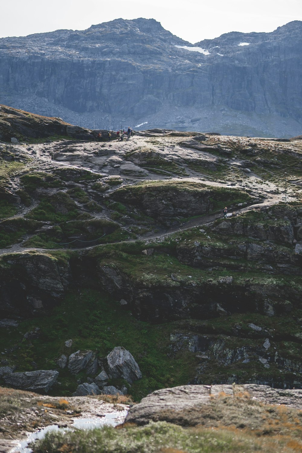 a man riding a horse on top of a lush green hillside