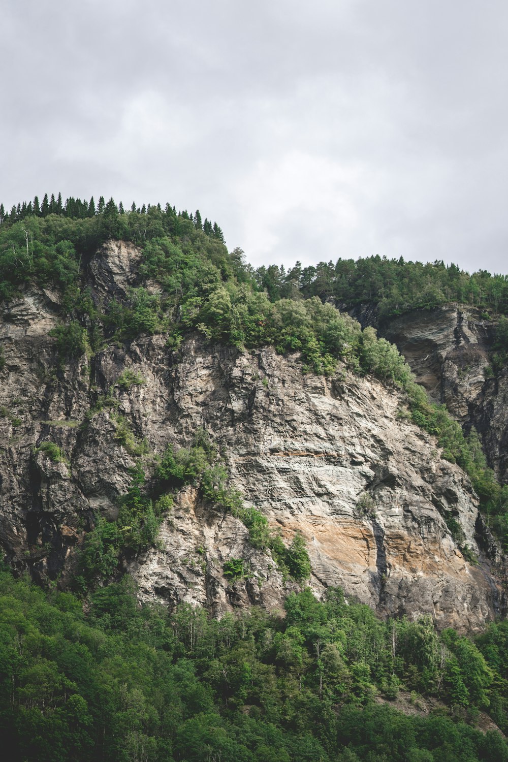 a large mountain with a forest on top of it