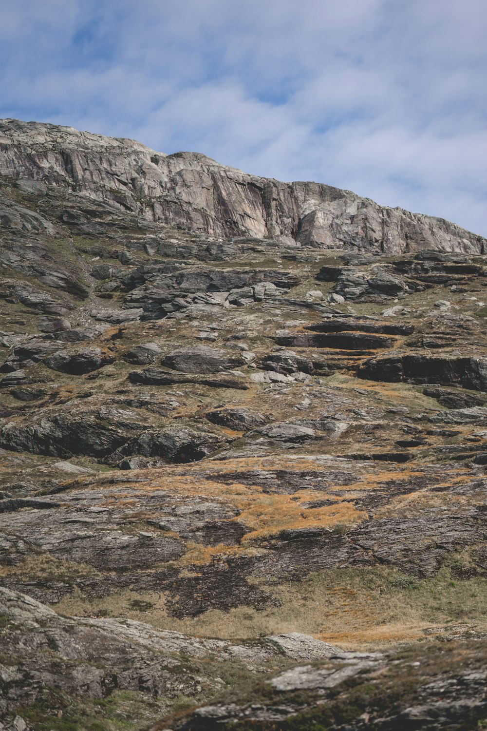 a mountain with a very tall rock face