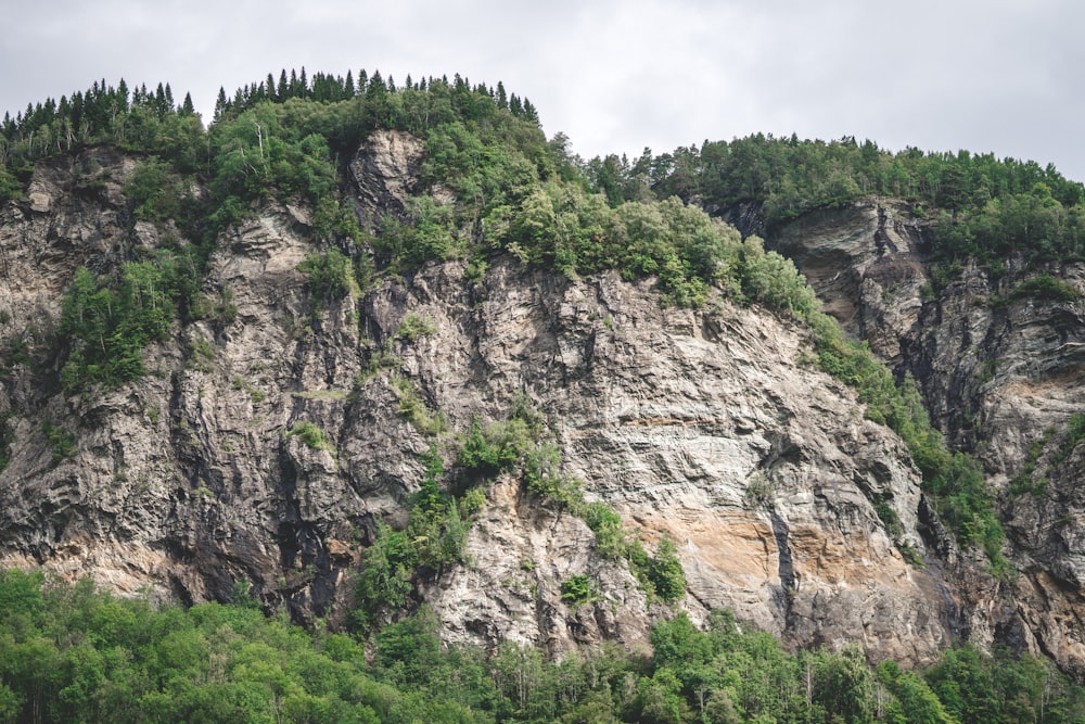 a very tall mountain with some trees on top of it