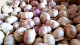 A large pile of garlic bulbs with a mix of white and purple skins, densely packed together in a container.