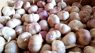 A large pile of garlic bulbs with a mix of white and purple skins, densely packed together in a container.