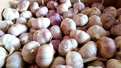A large pile of garlic bulbs with a mix of white and purple skins, densely packed together in a container.