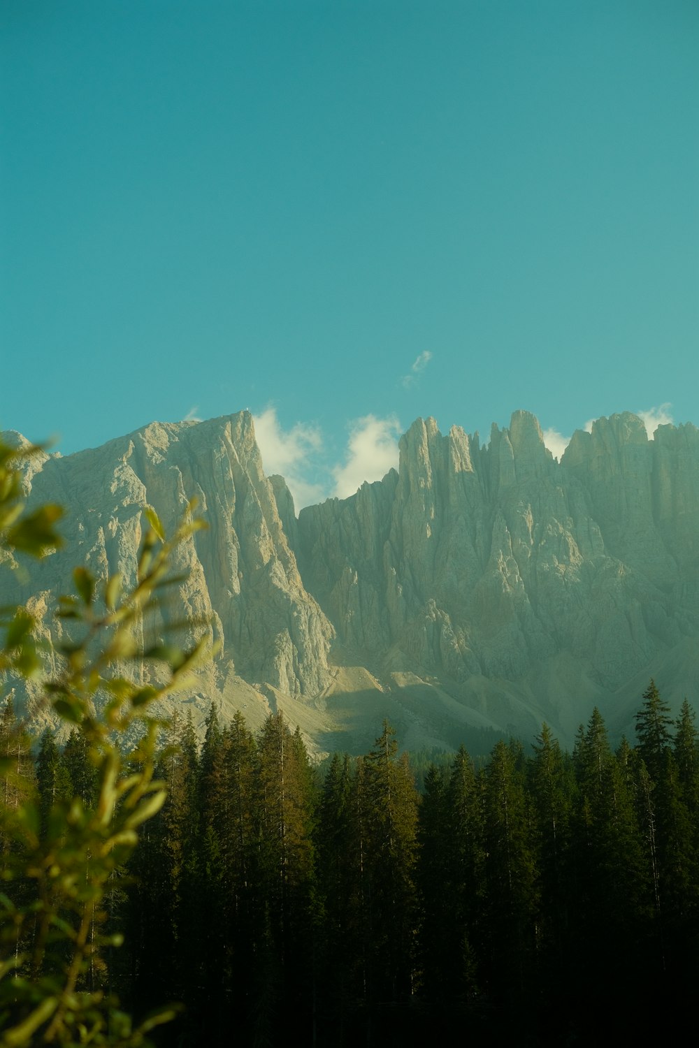 a view of a mountain range with trees in the foreground