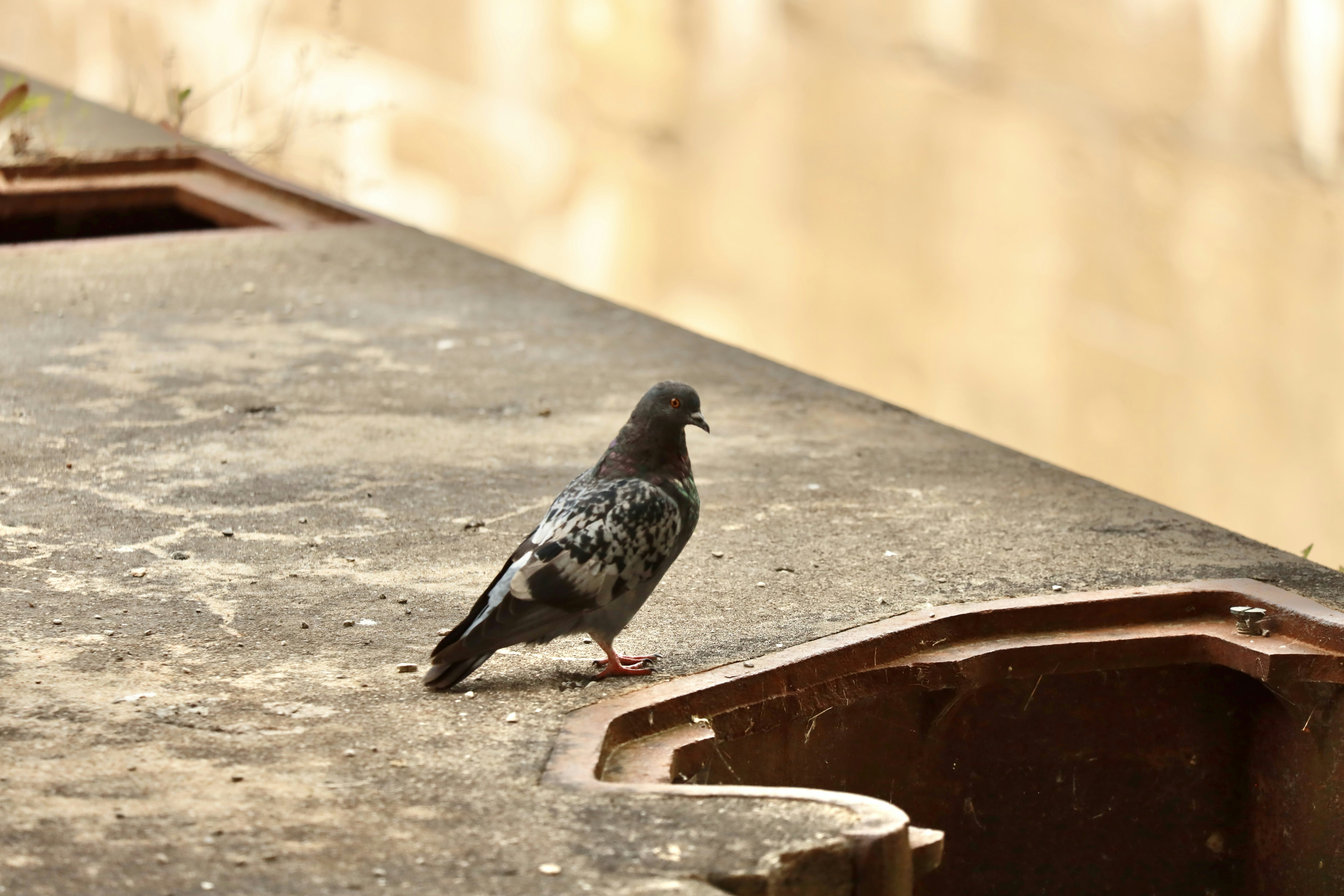 Photo by richardworks