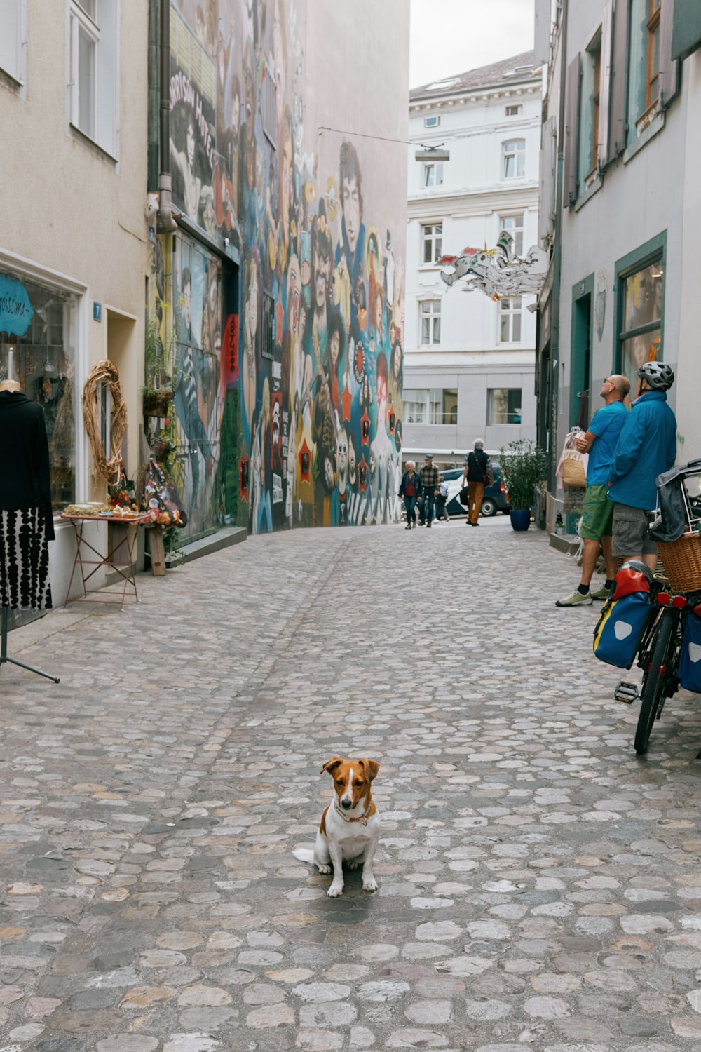a small brown and white dog walking down a street
