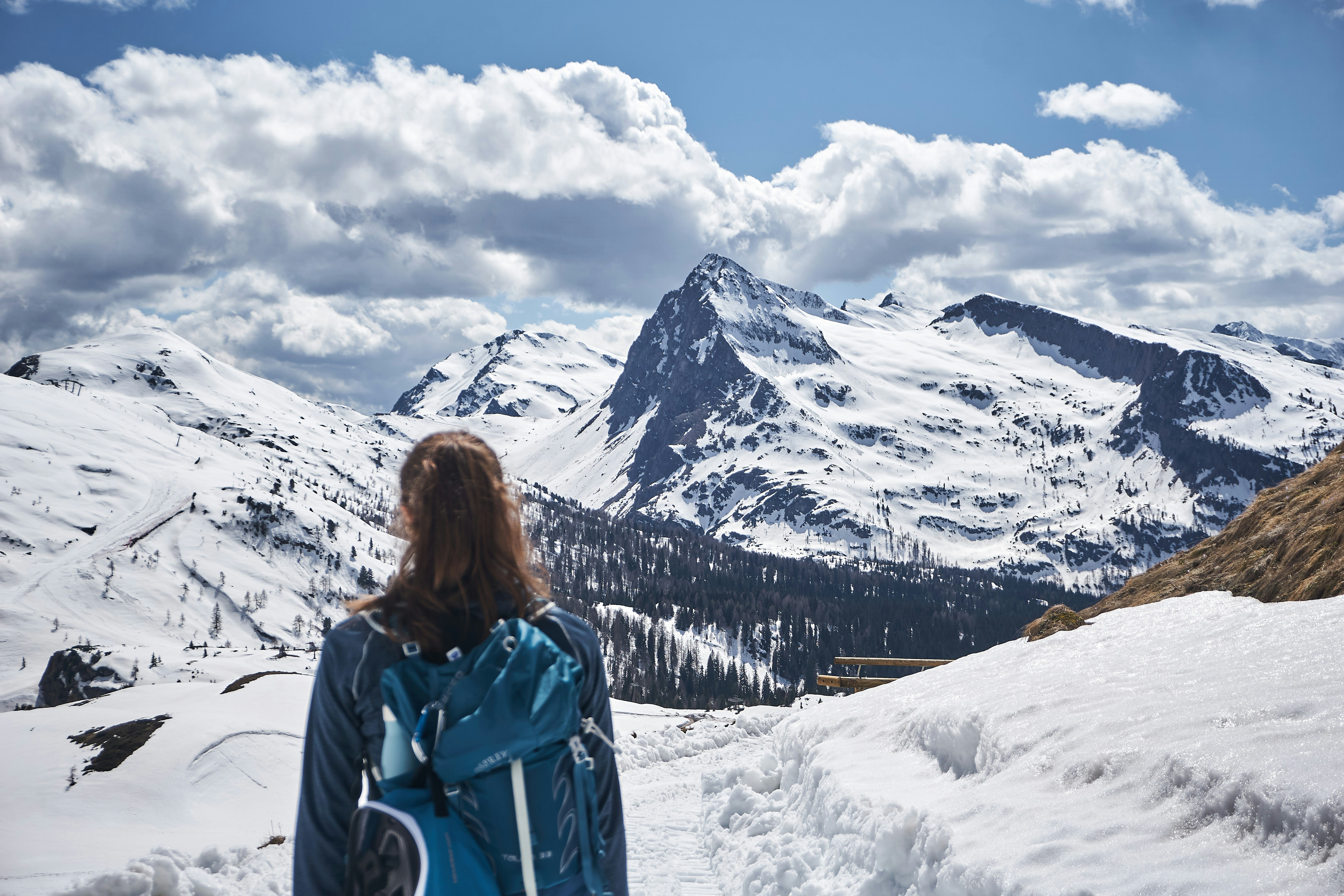 Photo by martial_sandstorm